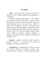 Konspekts 'Cilvēku rases', 4.