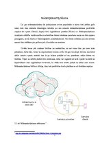 Konspekts 'Mākoņskaitļošana', 7.