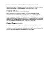 Konspekts 'Ārstnieciskās tējas', 2.