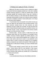 Referāts 'Baltijas jūras piesārņojums', 3.