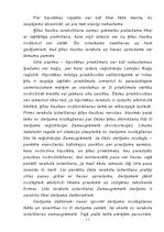 Referāts 'Ķīlas jēdziens un to veidi', 11.