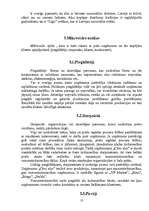 Referāts 'SIA "Cēsu alus" tirgus izpēte', 13.