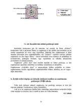 Referāts 'SIA "Cēsu alus" tirgus izpēte', 20.