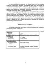 Referāts 'SIA "Cēsu alus" tirgus izpēte', 35.