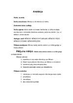 Referāts 'Mēness un tā ietekme uz cilvēku', 3.