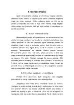 Referāts 'Mēness un tā ietekme uz cilvēku', 29.