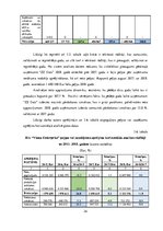 Diplomdarbs 'Informācijas tehnoloģiju nozares uzņēmumu finansiālā stāvokļa analīze un attīstī', 24.