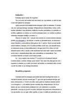 Eseja 'Sabiedrisko attiecību kampaņas plāns', 3.