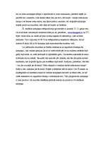 Eseja 'Sabiedrisko attiecību kampaņas plāns', 4.