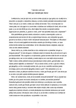 Eseja 'Mīts par sievieti pie stūres', 1.