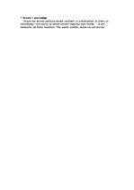 Prezentācija 'Skautu kustība kā audzināšanas darba forma', 14.