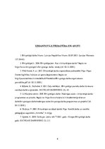 Referāts 'Brīvprātīgais kā resurss sociālajā darbā', 6.