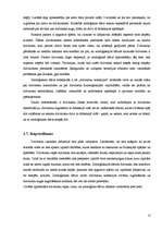 Referāts 'Aktuālākās problēmas dzīvnieku aizsardzībā pasaulē', 13.