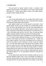 Referāts 'Aktuālākās problēmas dzīvnieku aizsardzībā pasaulē', 17.