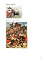 Referāts 'Aktuālākās problēmas dzīvnieku aizsardzībā pasaulē', 43.