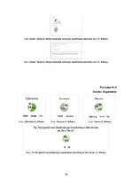 Referāts 'Bezatkritumu (Zero Waste) dzīvesveids Ādažos un Pierīgā', 30.