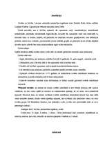 Referāts 'Cilvēks un brīvība. Valstiskās neatkarības atgūšanas laiks', 2.