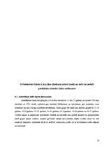 Referāts 'Cilvēks un brīvība. Valstiskās neatkarības atgūšanas laiks', 19.