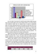 Referāts 'Cilvēks un brīvība. Valstiskās neatkarības atgūšanas laiks', 25.