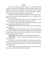 Referāts 'Miega loma cilvēka dzīvē', 7.