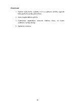 Referāts 'Uzņēmuma "Liepājas orhideja" finanšu pārskati un to analīze', 22.