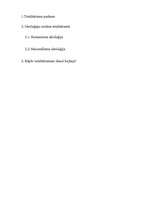 Referāts 'Totalitārisms', 1.