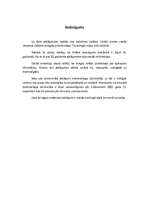 Referāts 'Svarīgākie mehānikas atklājumi 20.gadsimtā', 13.