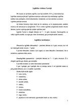 Referāts 'Izglītības sistēma Turcijā', 2.