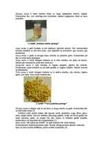 Referāts 'Medus klasifikācija Latvijas kombinētajā nomenklatūrā', 5.