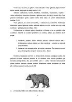 Diplomdarbs 'Bērnu grāmatu dizaina grafiskās iespējas', 8.