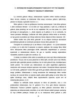 Diplomdarbs 'Bērnu grāmatu dizaina grafiskās iespējas', 19.