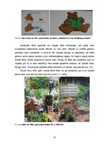 Diplomdarbs 'Bērnu grāmatu dizaina grafiskās iespējas', 24.