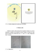 Diplomdarbs 'Bērnu grāmatu dizaina grafiskās iespējas', 72.