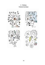 Diplomdarbs 'Bērnu grāmatu dizaina grafiskās iespējas', 100.