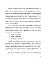 Prakses atskaite 'Aktīvā mācību un audzināšanas prakse pirmsskolā', 6.