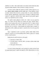 Prakses atskaite 'Aktīvā mācību un audzināšanas prakse pirmsskolā', 7.