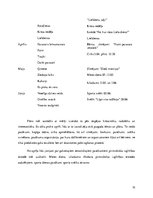 Prakses atskaite 'Aktīvā mācību un audzināšanas prakse pirmsskolā', 10.