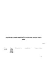 Prakses atskaite 'Aktīvā mācību un audzināšanas prakse pirmsskolā', 17.