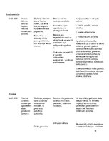 Prakses atskaite 'Aktīvā mācību un audzināšanas prakse pirmsskolā', 19.