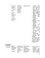Prakses atskaite 'Aktīvā mācību un audzināšanas prakse pirmsskolā', 23.