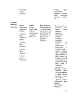 Prakses atskaite 'Aktīvā mācību un audzināšanas prakse pirmsskolā', 27.