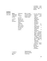 Prakses atskaite 'Aktīvā mācību un audzināšanas prakse pirmsskolā', 28.