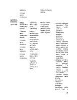 Prakses atskaite 'Aktīvā mācību un audzināšanas prakse pirmsskolā', 29.