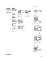 Prakses atskaite 'Aktīvā mācību un audzināšanas prakse pirmsskolā', 30.