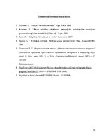 Prakses atskaite 'Aktīvā mācību un audzināšanas prakse pirmsskolā', 34.