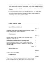 Referāts 'Biznesa konkurētspēja un stratēģiskā vadīšana starptautiskā vidē', 4.