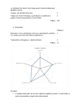 Referāts 'Biznesa konkurētspēja un stratēģiskā vadīšana starptautiskā vidē', 5.
