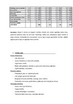 Referāts 'Biznesa konkurētspēja un stratēģiskā vadīšana starptautiskā vidē', 7.