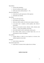 Referāts 'Sēnes, to uzturvērtība, pārstrādes produkti un ražošanas īpatnības', 11.