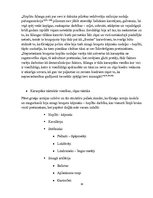 Referāts 'Romiešu karamāksla', 14.